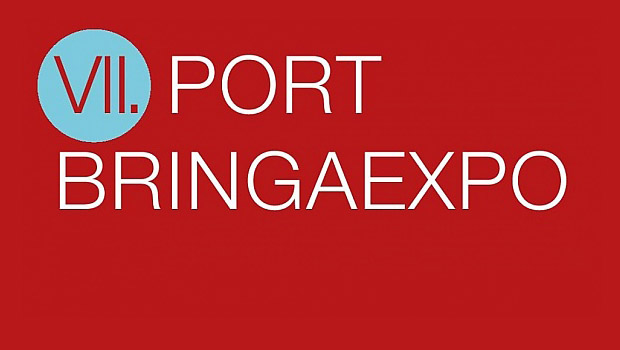vii-port-bringaexpo