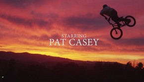 pat-casey-alom-backyard