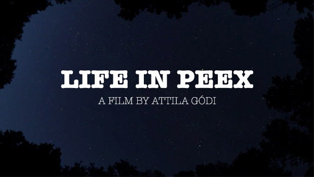 life-in-peex
