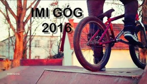 gog-imi-2016